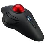 Adesso iMouse T40/ bezdrátová trackball myš 2,4GHz/ 1,5" trackball/ programovatelná/ optická/ 400-4800DPI/ USB/ černá