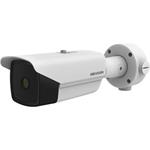 Hikvision IP termo kamera s 6,5mm obj., 384x288, PoE, AUDIO, ALARM