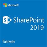 Elektronicky: Microsoft CSP SharePoint Server 2019 1 User CAL - trvalá licence