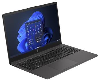 HP 250/G10/i5-1334U/15,6"/FHD/8GB/512GB SSD/UHD/W11H/Gray/1R