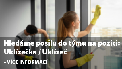 Uklízečka / Uklízeč